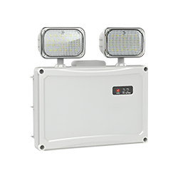 LED Emergency Light​