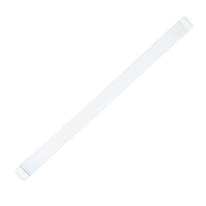 novella1